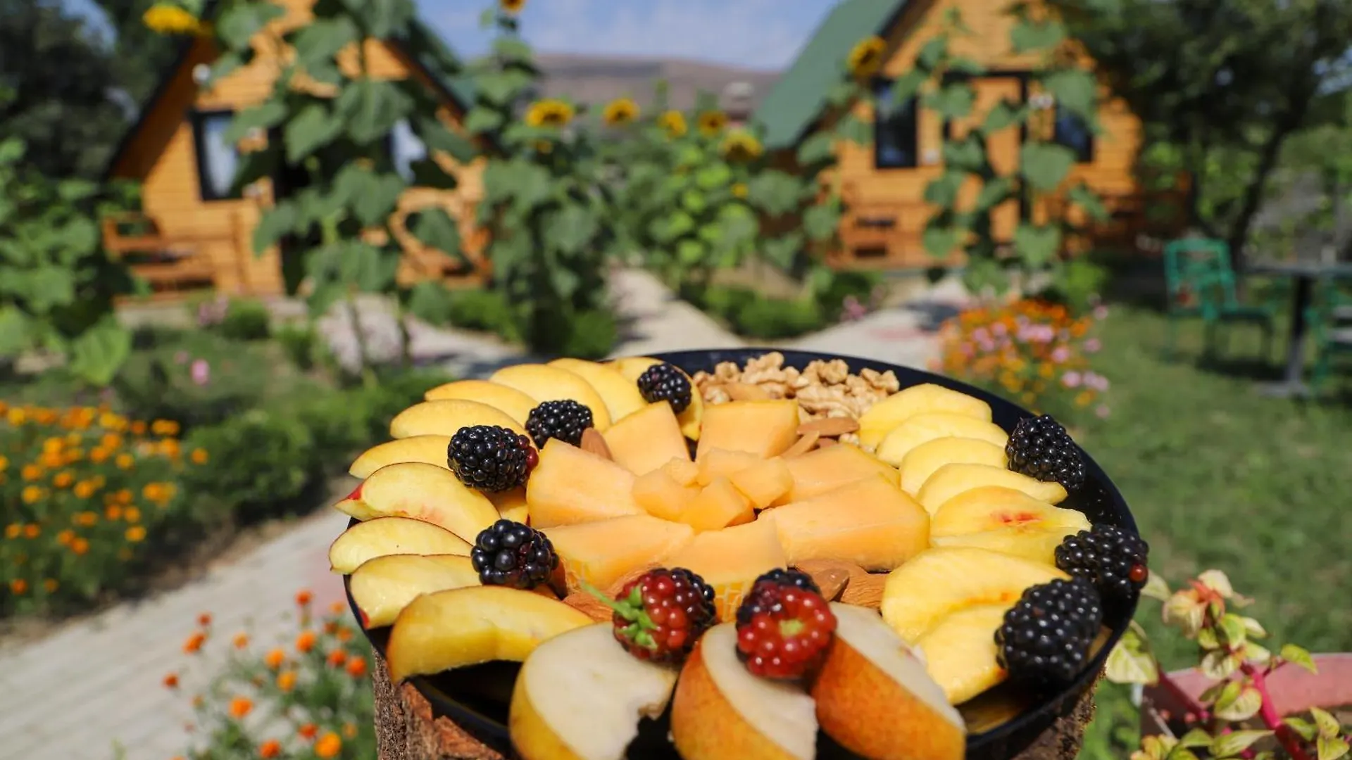 فيلة فيلا Wood House بيرات ألبانيا